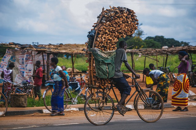 Man transporting firewood along the 50km road to Lilongwe, Malawi. IFPRI / Mitchell Maher.