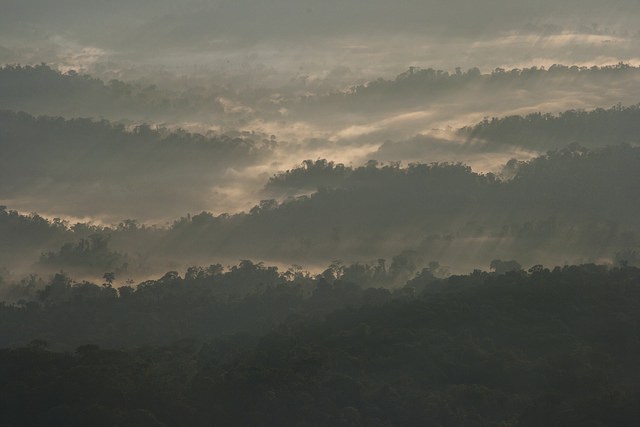 Sunrise over Cordillera National Park, Peru. Source: Toni Fish (Flickr).