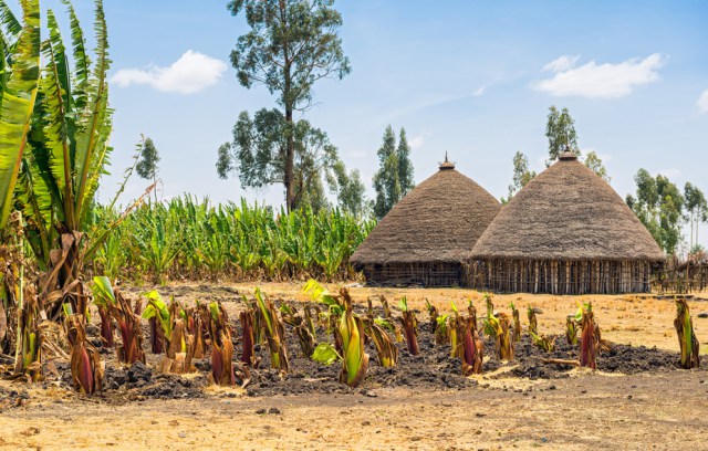 Ethiopia has seen massive improvements in areas like infrastructure following success in agriculture. Shutterstock