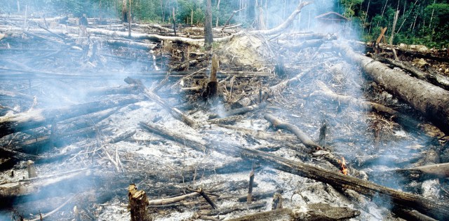 Major development banks are funding logging, mining and infrastructure projects that are having enormous impacts on nature. Here, forests are being razed along a newly constructed road in central Amazonia. William Laurance, Author provided