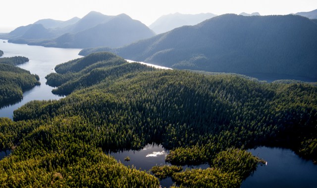 An aerial view of Clayoquot Sound, on the west coast of Vancouver Island in the Canadian province of British Columbia. Photo © Bryan Evans.