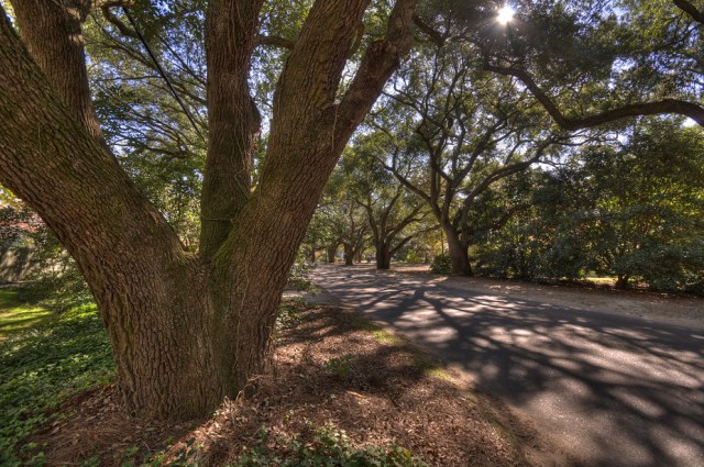 Not just a way to beat the heat, urban forests also reduce air pollution and provide other services for the economy. kiddocone/flickr, CC BY-NC-ND.